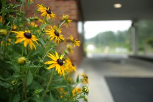 Flowers Outside the Community Bank