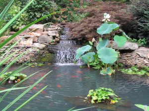 Ellison Waterfall