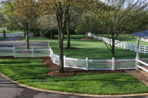 Fences and Treeline