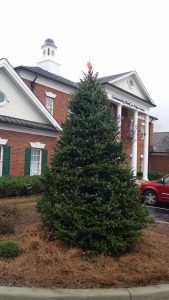 Christmas Tree Outside the Community Bank