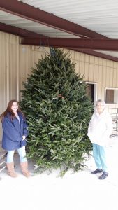 Women with Large Christmas Tree